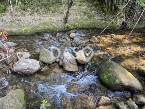 Terreno Rural – Sítio – Nova Trento