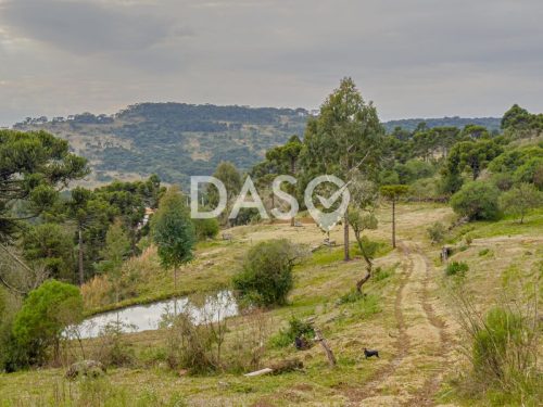 Sítio – Terreno Rural – Urupema